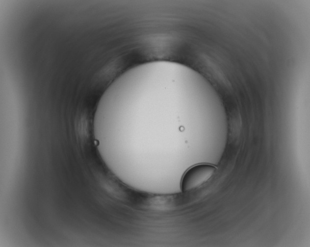 X0000113150126200909111002