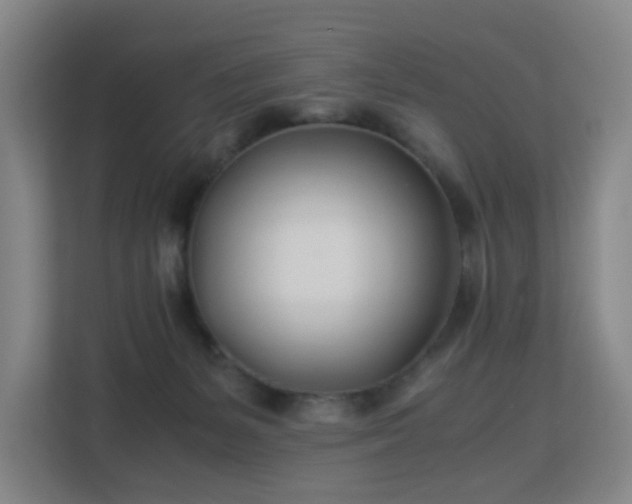 X0000113150127200909111002