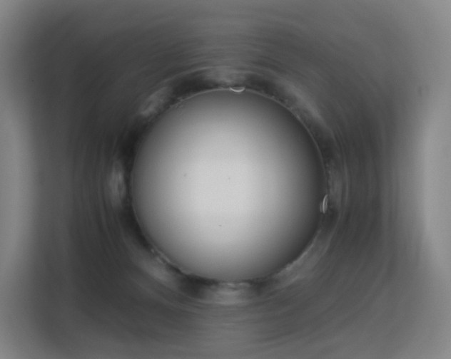 X0000113150128200909111002