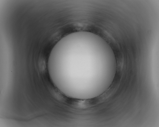 X0000113150130200909111002