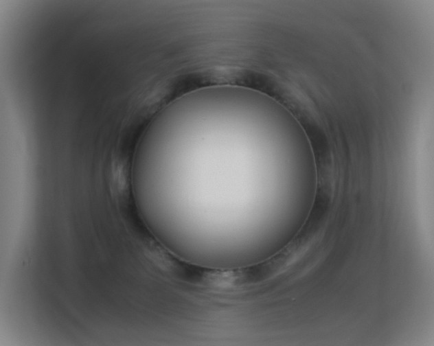 X0000113150131200909111002