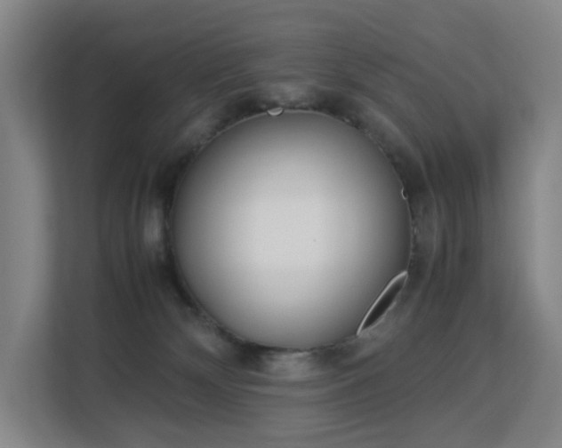 X0000113150132200909111002