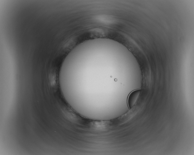 X0000113150134200909111002