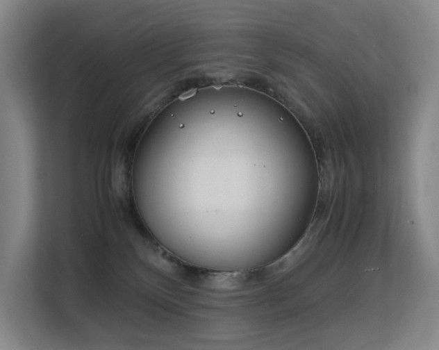 X0000113150136200909111002