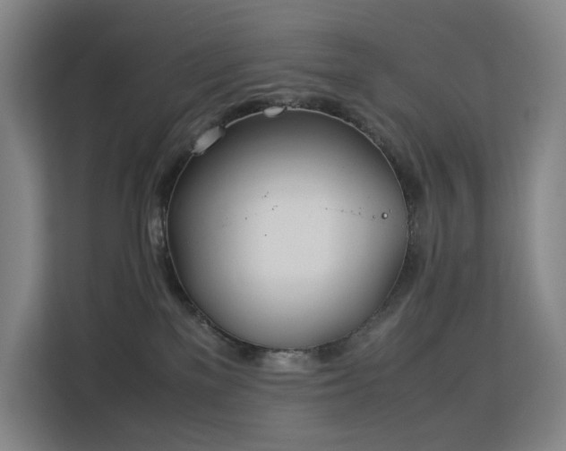 X0000113150137200909111002