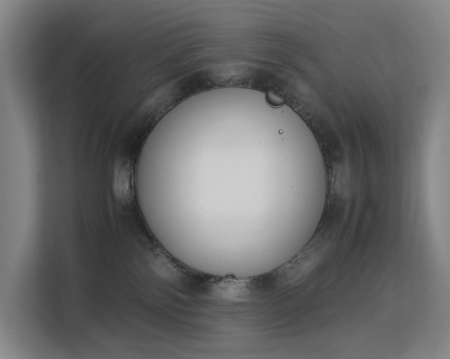 X0000113150138200909111002