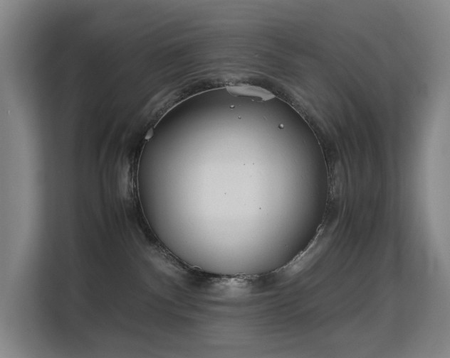 X0000113150140200909111002