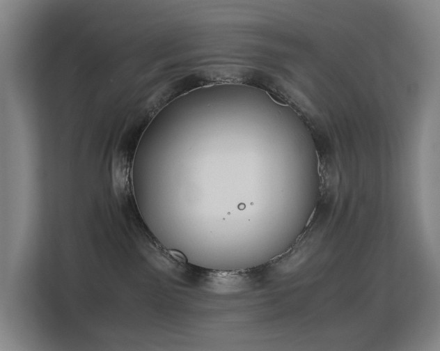 X0000113150141200909111002