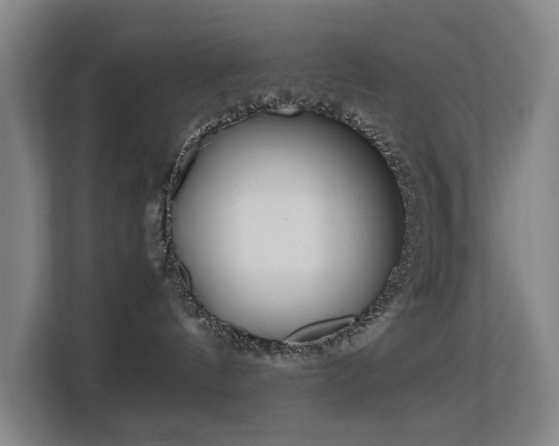 X0000113150144200909111002