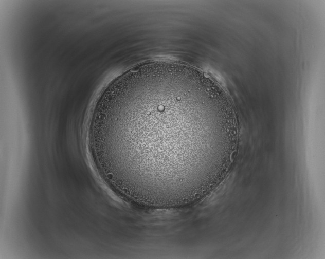 X0000113150145200909111001