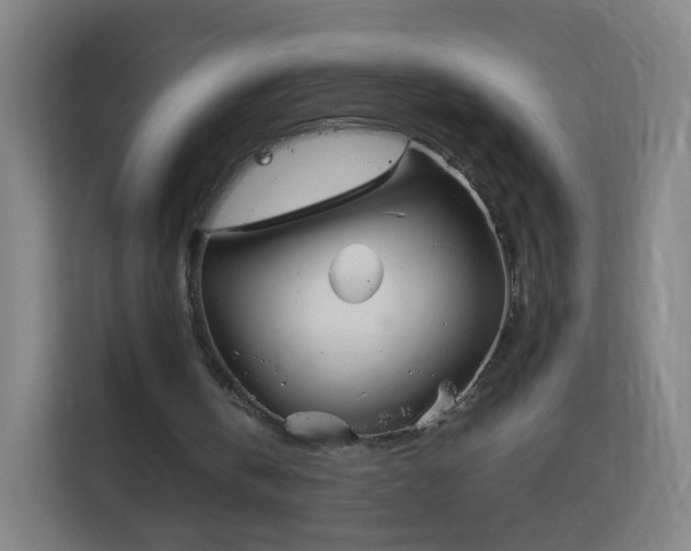 X0000113150146200909111001