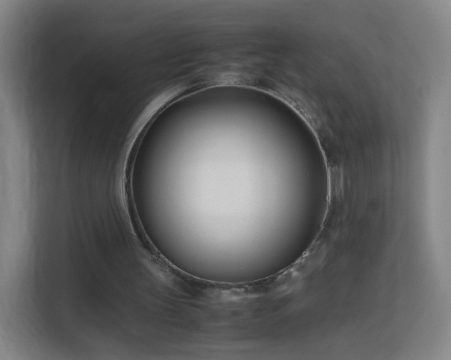 X0000113150147200909111001