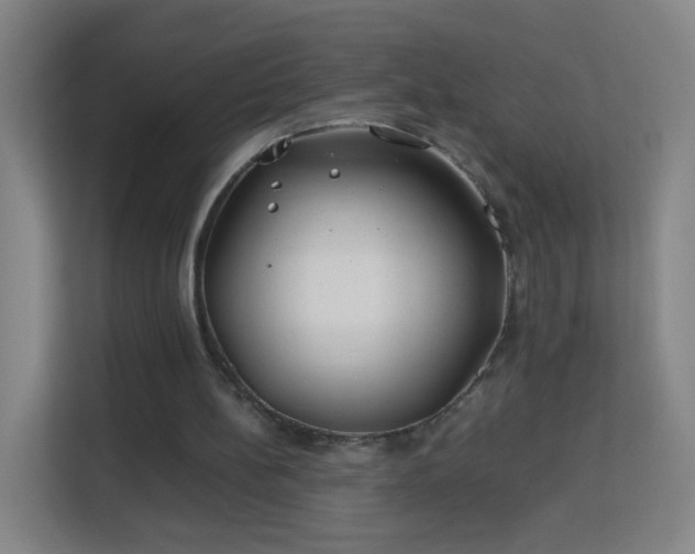 X0000113150148200909111001