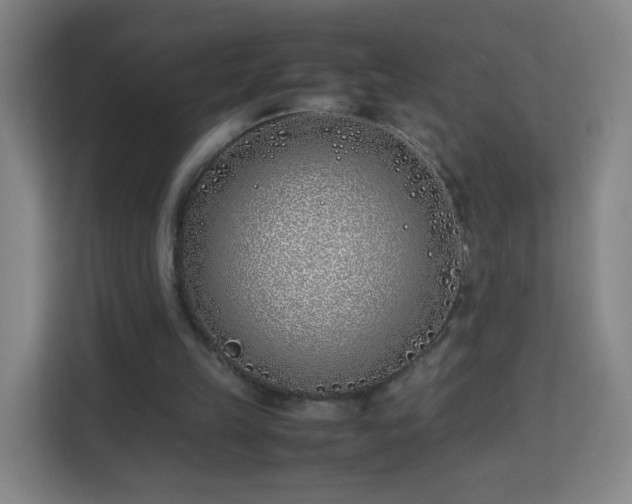 X0000113150149200909111001