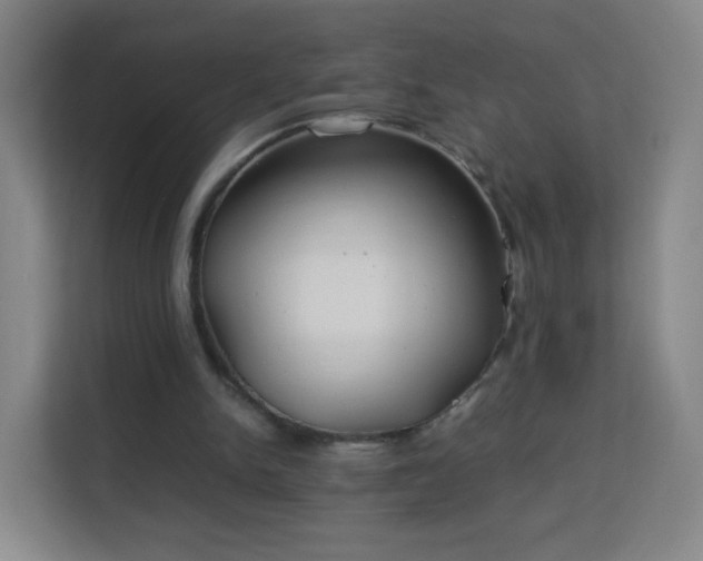 X0000113150150200909111001