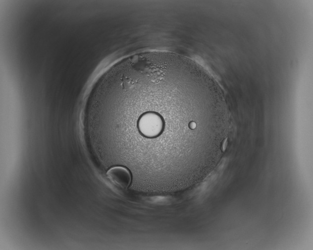 X0000113150151200909111001