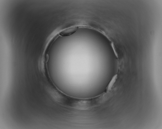 X0000113150152200909111001