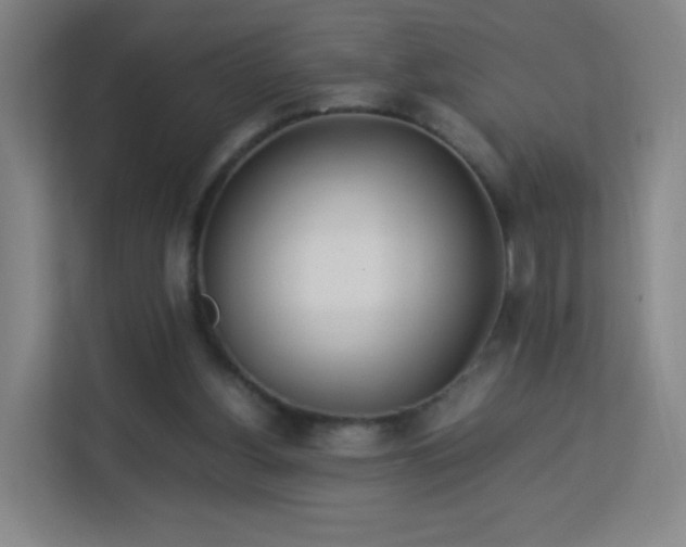 X0000113150156200909111001