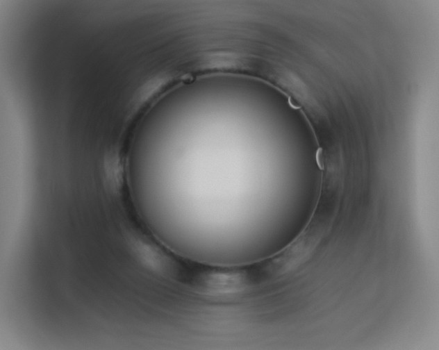 X0000113150160200909111001