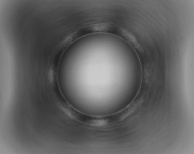 X0000113150161200909111001