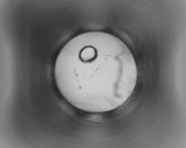 X0000113150162200909111001