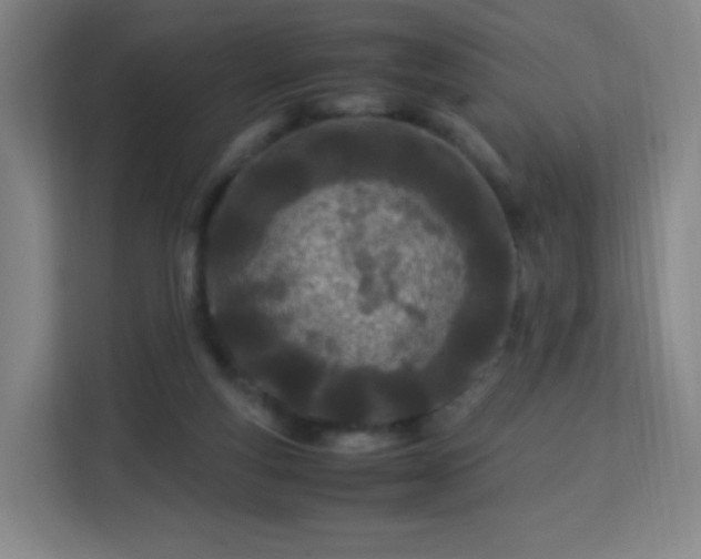 X0000113150163200909111001