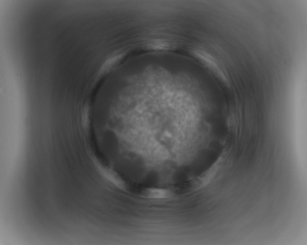 X0000113150167200909111001