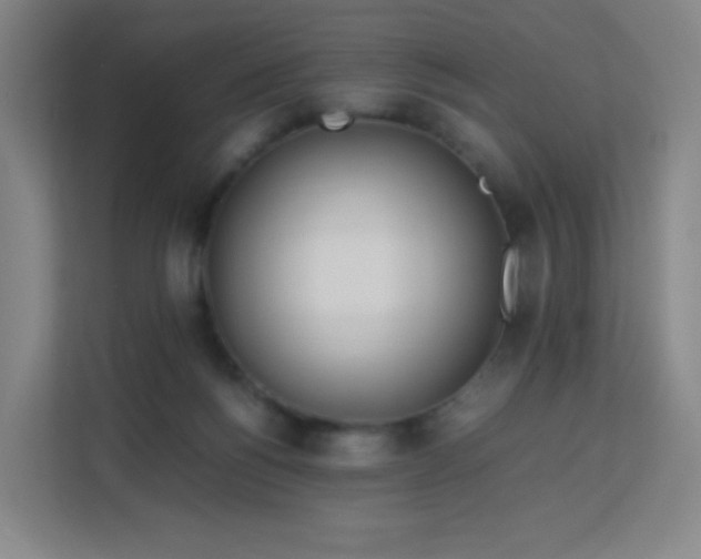 X0000113150168200909111001