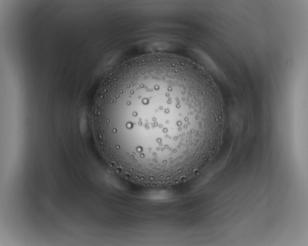 X0000113150169200909111001