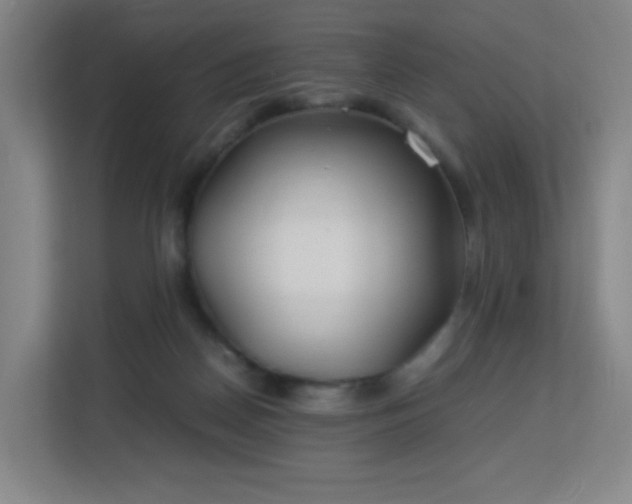 X0000113150170200909111001