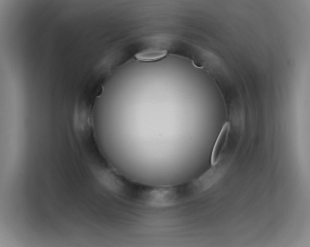 X0000113150172200909111001