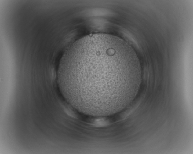 X0000113150173200909111001