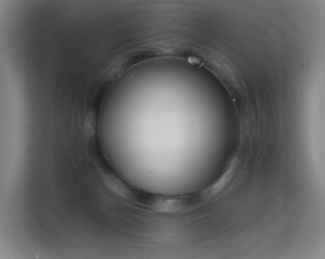 X0000113150174200909111001