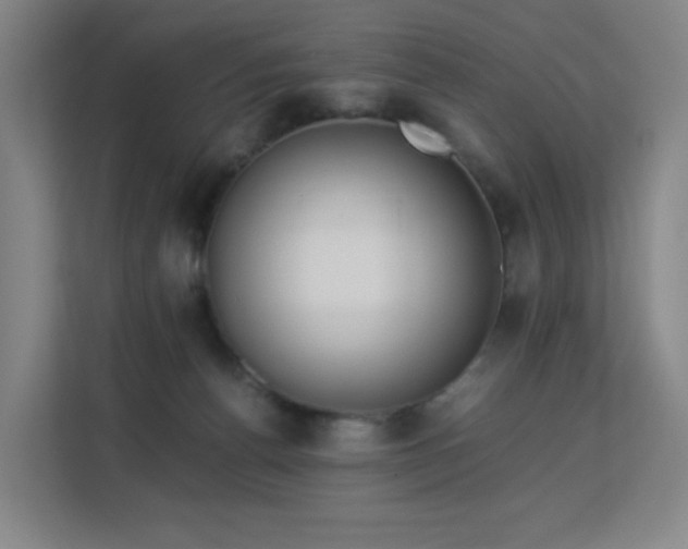 X0000113150176200909111001