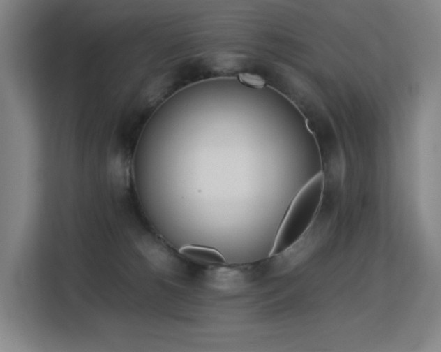 X0000113150180200909111001