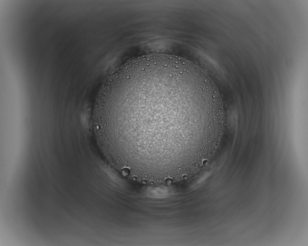 X0000113150181200909111001