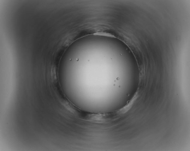 X0000113150182200909111001