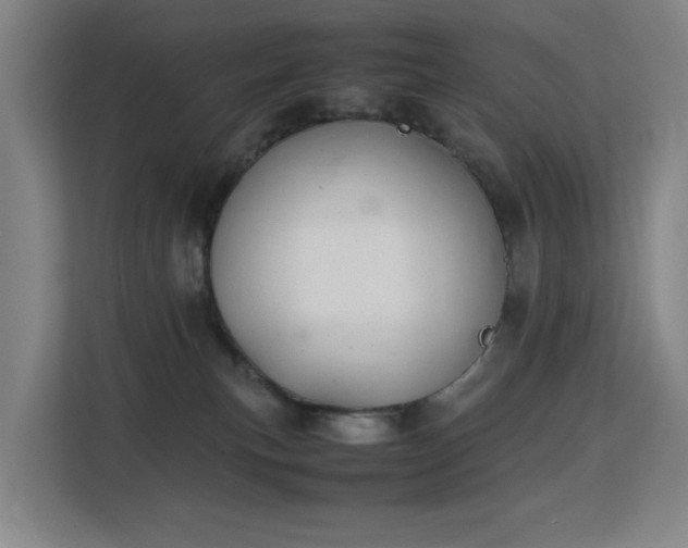 X0000113150183200909111001