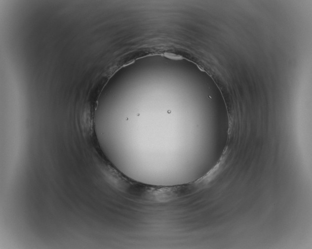 X0000113150186200909111001