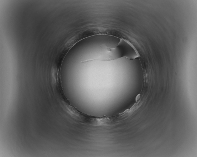 X0000113150188200909111002