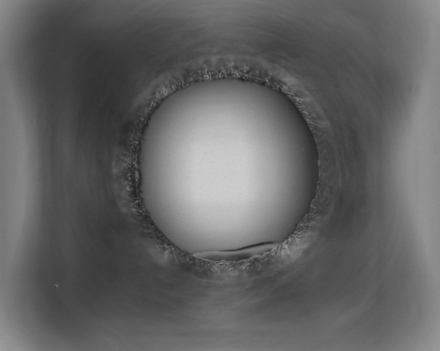 X0000113150192200909111002