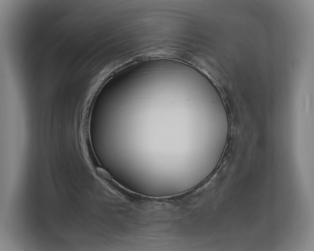 X0000113150193200909111001