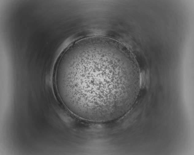 X0000113150195200909111001