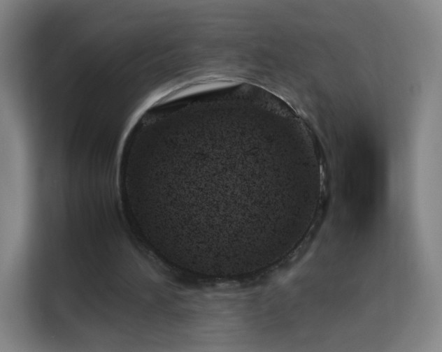 X0000113150196200909111001