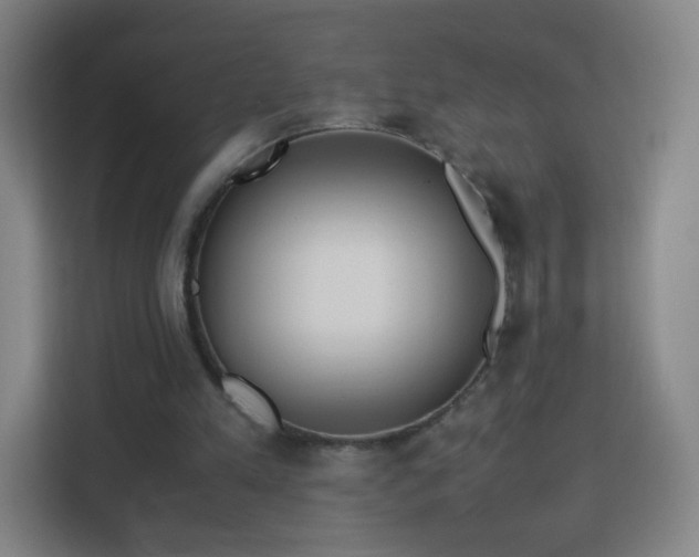 X0000113150197200909111001