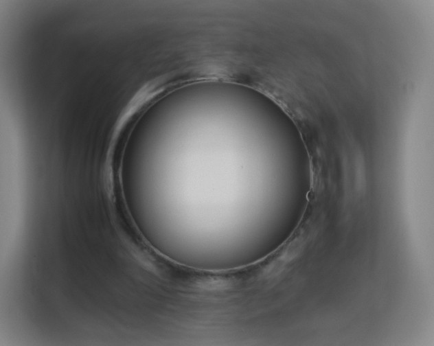 X0000113150198200909111001