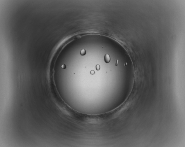 X0000113150200200909111001