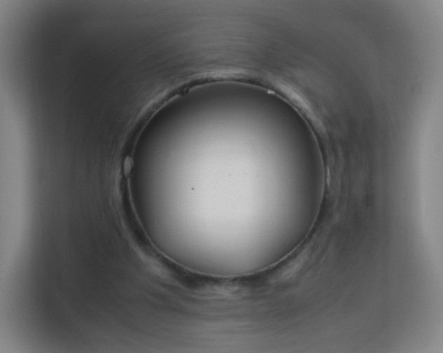 X0000113150201200909111001