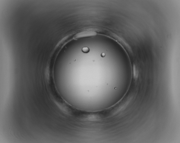 X0000113150204200909111001