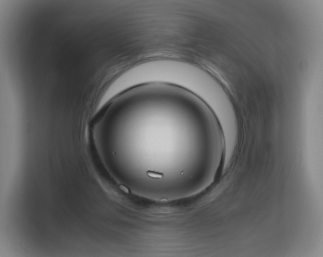 X0000113150205200909111001